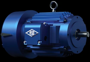 Reuland Electric Integrated Brake Motors