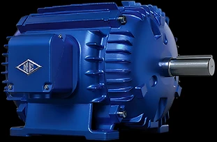Reuland Electric Inverter-Driven PM (IPM & SPM)